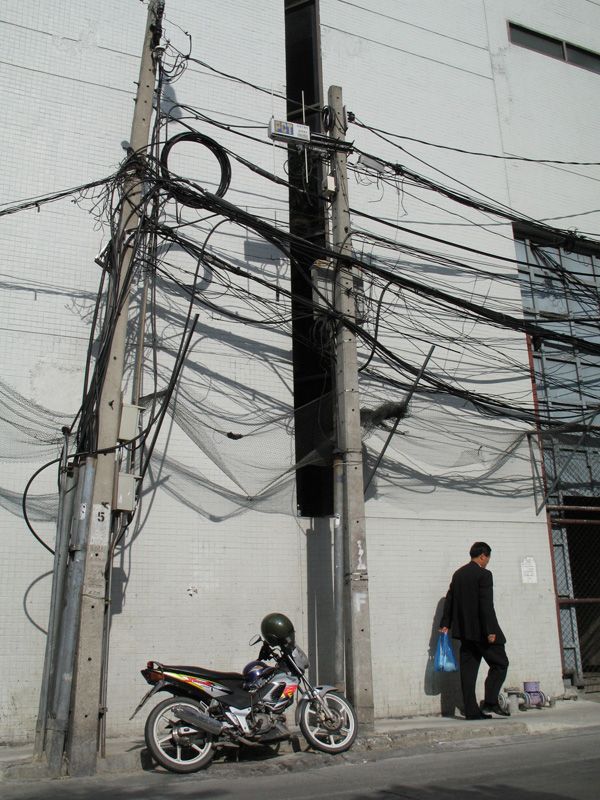 cable-jungle-2.jpg